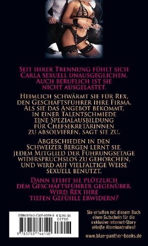 Buchcover und Innenansicht für das Buch: Die Ausbildung zur Büro-Sklavin | Erotischer SM-Roman