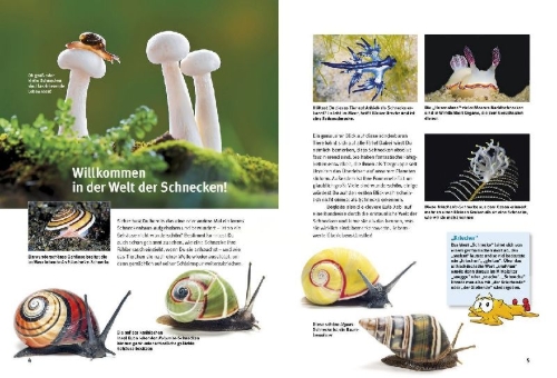 Buchcover und Innenansicht für das Buch: Entdecke die Schnecken