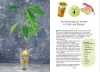 Buchcover und Innenansicht für das Buch: no-waste litchen gardening