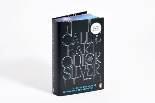 Buchcover und Innenansicht für das Buch: Quick Silver