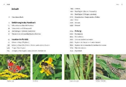 Buchcover und Innenansicht für das Buch: Das große BLV Handbuch Insekten