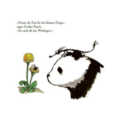 Buchcover und Innenansicht für das Buch: Big Panda and Tiny Dragon