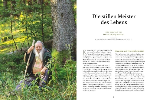 Buchcover und Innenansicht für das Buch: Meine Kräuter des Waldes