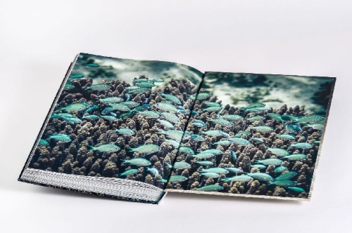 Buchcover und Innenansicht für das Buch: Wild Ocean