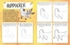 Buchcover und Innenansicht für das Buch: The Official Harry Potter How to Draw