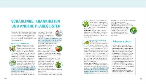 Buchcover und Innenansicht für das Buch: Balkongärtnern