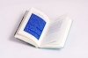 Buchcover und Innenansicht für das Buch: Lebensversicherung