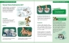 Buchcover und Innenansicht für das Buch: Experimente für Kinder