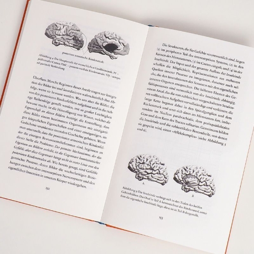 Buchcover und Innenansicht für das Buch: Feeling and Knowing