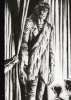 Buchcover und Innenansicht für das Buch: Frankenstein Alive, Alive!