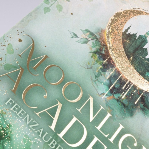 Buchcover und Innenansicht für das Buch: Moonlight Academy. Feenzauber