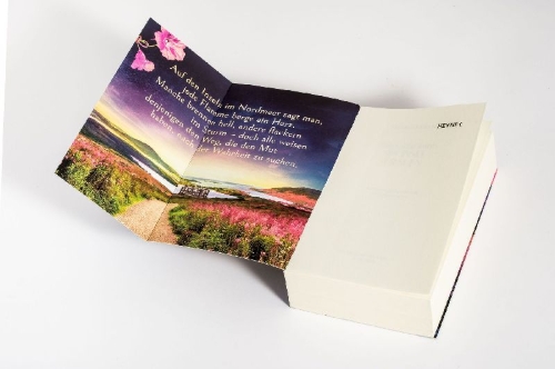 Buchcover und Innenansicht für das Buch: The Glass Key