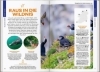 Buchcover und Innenansicht für das Buch: LONELY PLANET Reiseführer Irland