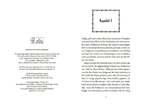 Buchcover und Innenansicht für das Buch: Torumaline and the Museum of Marvels