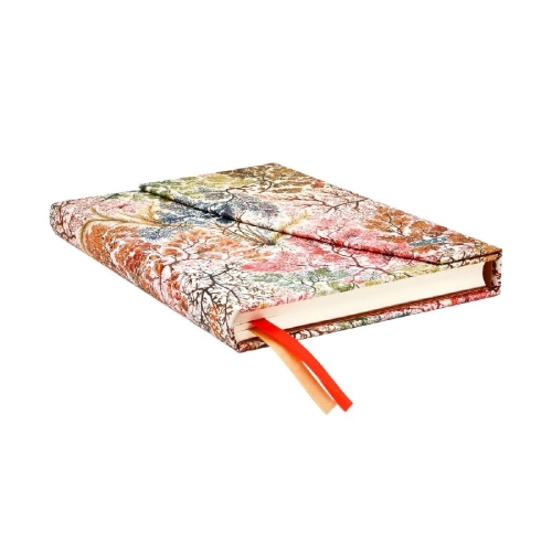 Buchcover und Innenansicht für das Buch: 12-Monatskalender 2027 Anemone Midi Horizontal