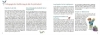 Buchcover und Innenansicht für das Buch: Neue Projekte in der Kita: Schulstart