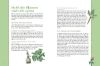 Buchcover und Innenansicht für das Buch: Ökologisch gärtnern mit Mischkultur.