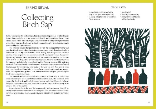 Buchcover und Innenansicht für das Buch: Seasonal Folktales