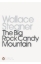 Buchcover und Innenansicht für das Buch: The Big Rock Candy Mountain