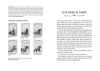 Buchcover und Innenansicht für das Buch: Charlottes Traumpferd 5: Wir sind doch Freunde