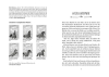 Buchcover und Innenansicht für das Buch: Charlottes Traumpferd 6: Durch dick und dünn