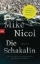 Buchcover und Innenansicht für das Buch: Falls the Shadow
