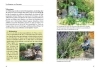 Buchcover und Innenansicht für das Buch: Rückenfreundlich gärtnern