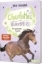 Buchcover und Innenansicht für das Buch: Charlottes Traumpferd 3: Ein unerwarteter Besucher