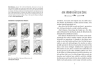 Buchcover und Innenansicht für das Buch: Charlottes Traumpferd 3: Ein unerwarteter Besucher