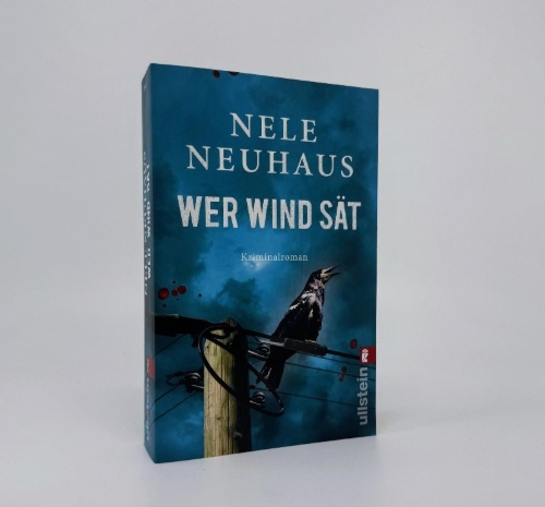 Buchcover und Innenansicht für das Buch: Wer Wind sät