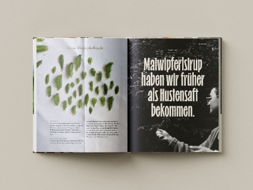 Buchcover und Innenansicht für das Buch: Das Gasthaus in den Tiroler Alpen