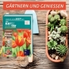 Buchcover und Innenansicht für das Buch: Durchs Jahr 2027 mit KAFFEE ODER TEE
