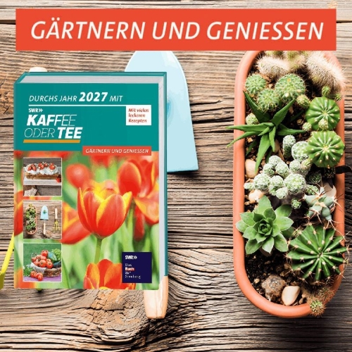 Buchcover und Innenansicht für das Buch: Durchs Jahr 2027 mit KAFFEE ODER TEE
