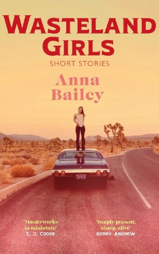 Buchcover und Innenansicht für das Buch: Wasteland Girls