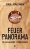 Buchcover und Innenansicht für das Buch: Feuerpanorama