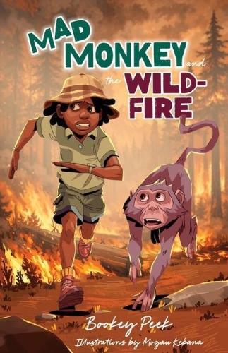 Buchcover und Innenansicht für das Buch: Mad Monkey and the Wildfire