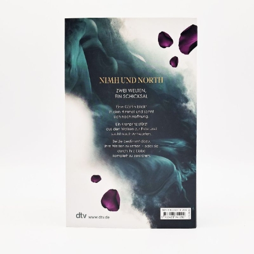 Buchcover und Innenansicht für das Buch: The Other Side of the Sky 01