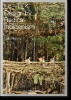 Buchcover und Innenansicht für das Buch: Julia Watson