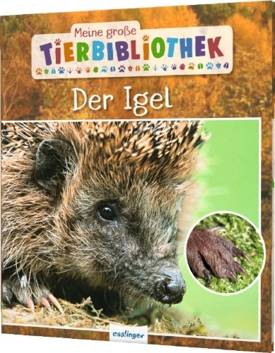 Buchcover und Innenansicht für das Buch: Meine große Tierbibliothek: Der Igel
