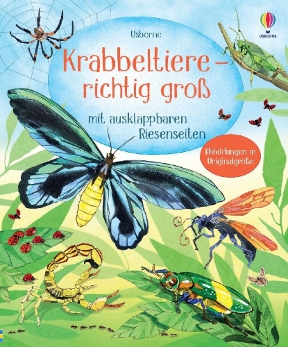 Buchcover und Innenansicht für das Buch: Krabbeltiere - richtig groß