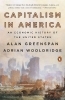 Buchcover und Innenansicht für das Buch: Capitalism in America