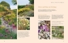 Buchcover und Innenansicht für das Buch: Natur-Präriegärten
