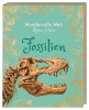 Buchcover und Innenansicht für das Buch: Wundervolle Welt - Kleine Schätze. Fossilien