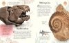 Buchcover und Innenansicht für das Buch: Wundervolle Welt - Kleine Schätze. Fossilien