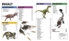 Buchcover und Innenansicht für das Buch: DK Wissen. Dinosaurier
