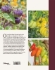 Buchcover und Innenansicht für das Buch: Tomatenglück