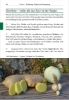 Buchcover und Innenansicht für das Buch: Kochen aus Rucksack und Packtasche