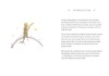 Buchcover und Innenansicht für das Buch: The Little Prince (Adult Edition)