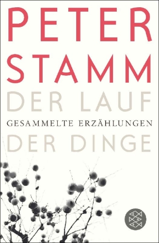 Buchcover und Innenansicht für das Buch: Der Lauf der Dinge