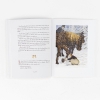 Buchcover und Innenansicht für das Buch: Eine Kiste voller Weihnachten